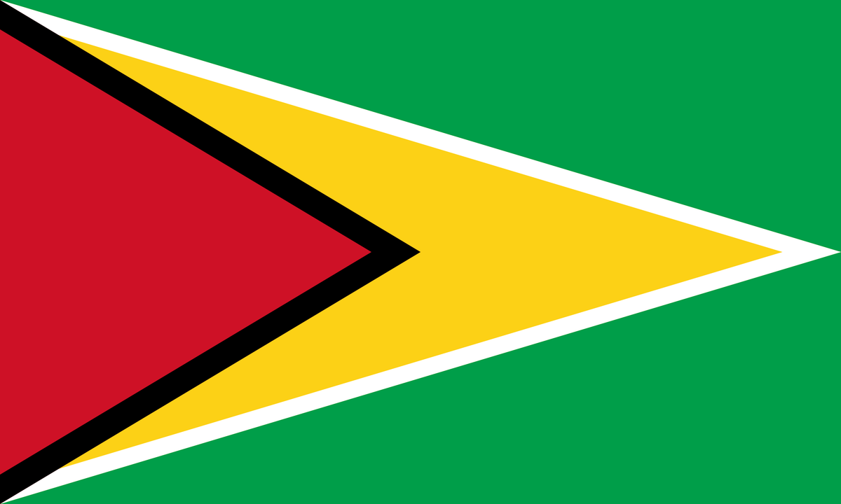 Guyana national flag: red triangle bordered in black, gold arrowhead edged in white on green