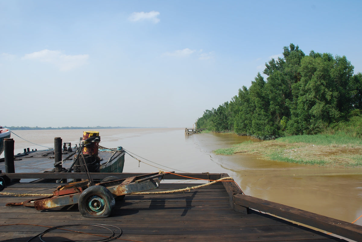 Natural landscape along the Demerara River in Guyana with riverbank vegetation and boats