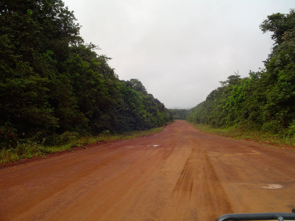 Mabura Road south of Linden, Guyana, leading into the interior
