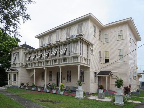 Walter Roth Museum of Anthropology in Georgetown, an institution closely tied to Denis Williams' cultural legacy