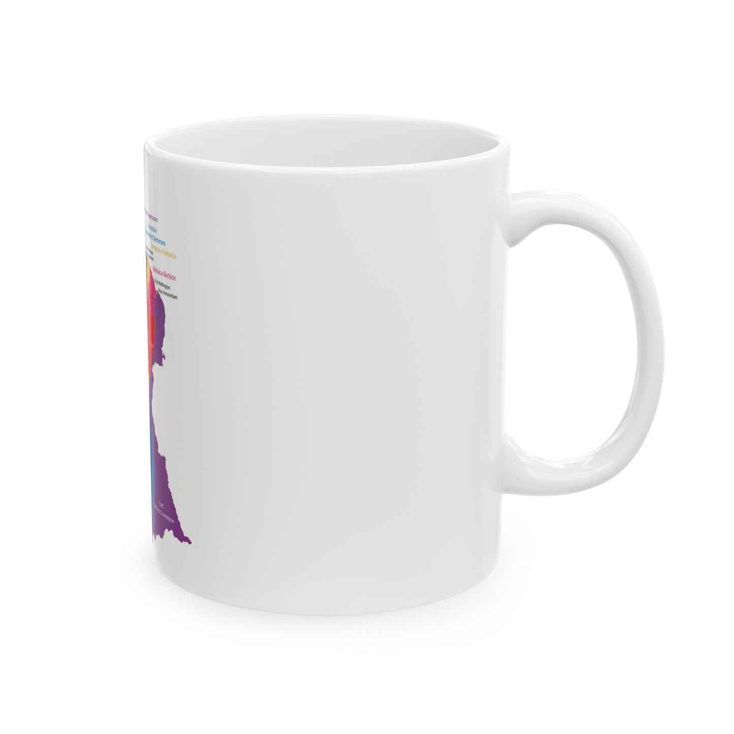 Guyana Regions Map Ceramic Mug — Colorful Labeled Map, 11oz & 15oz
