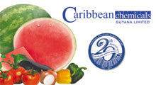 Caribbean Chemicals (Guyana) Limited