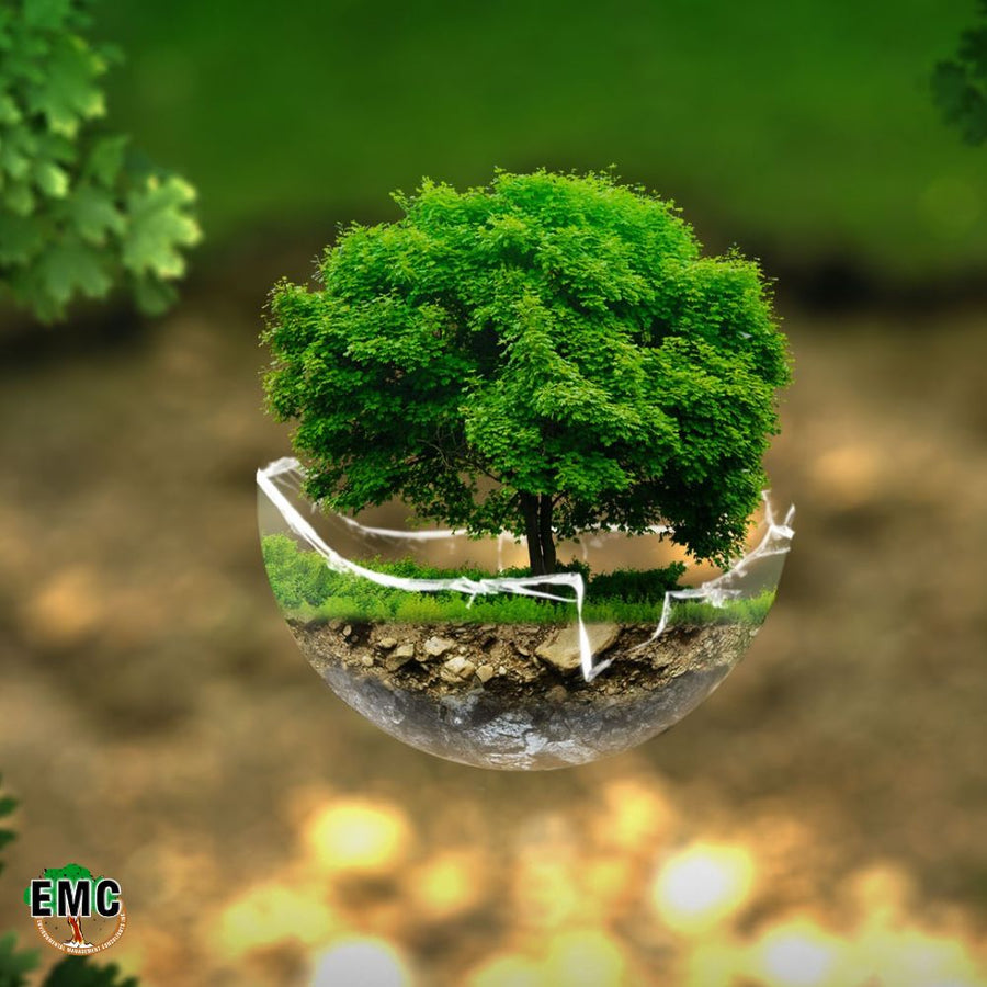 Environmental Management Consultants Inc.