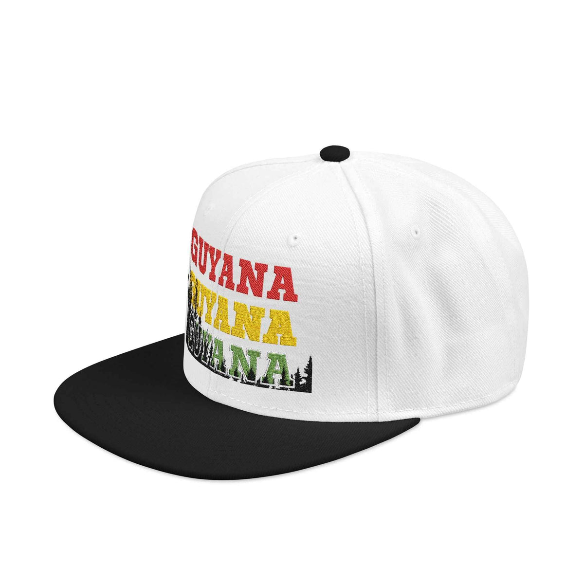 Guyana Retro Embroidered Snapback Hat in White, right side view