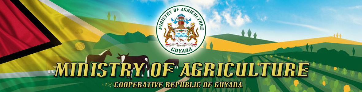 Ministry of Agriculture Guyana
