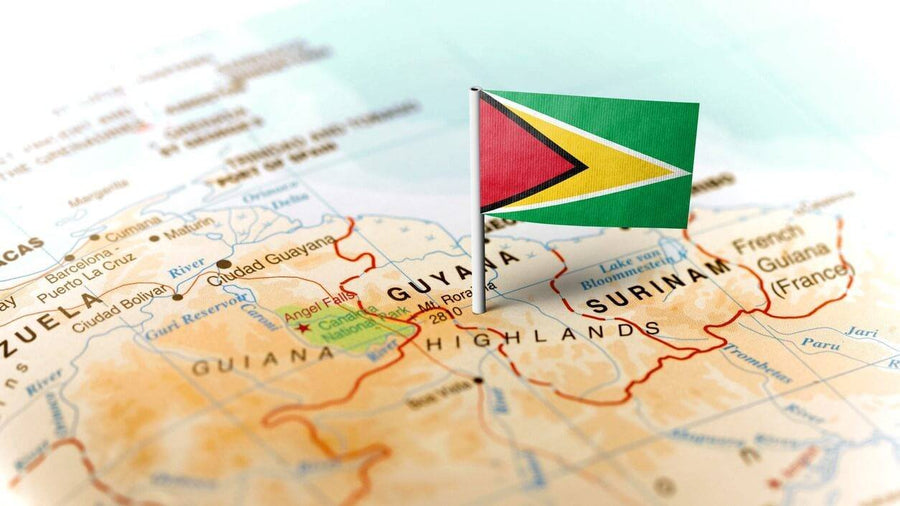 U.S. Guyana Chamber of Commerce