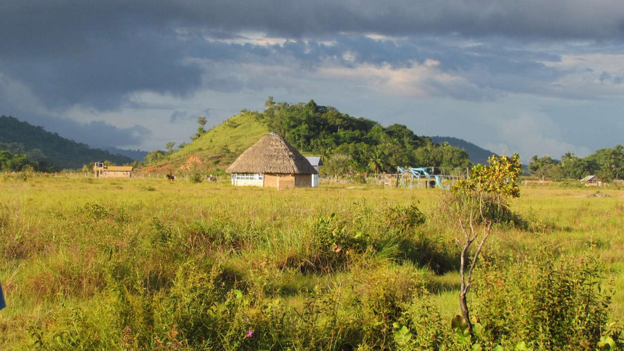 Wanderlust Adventures Guyana