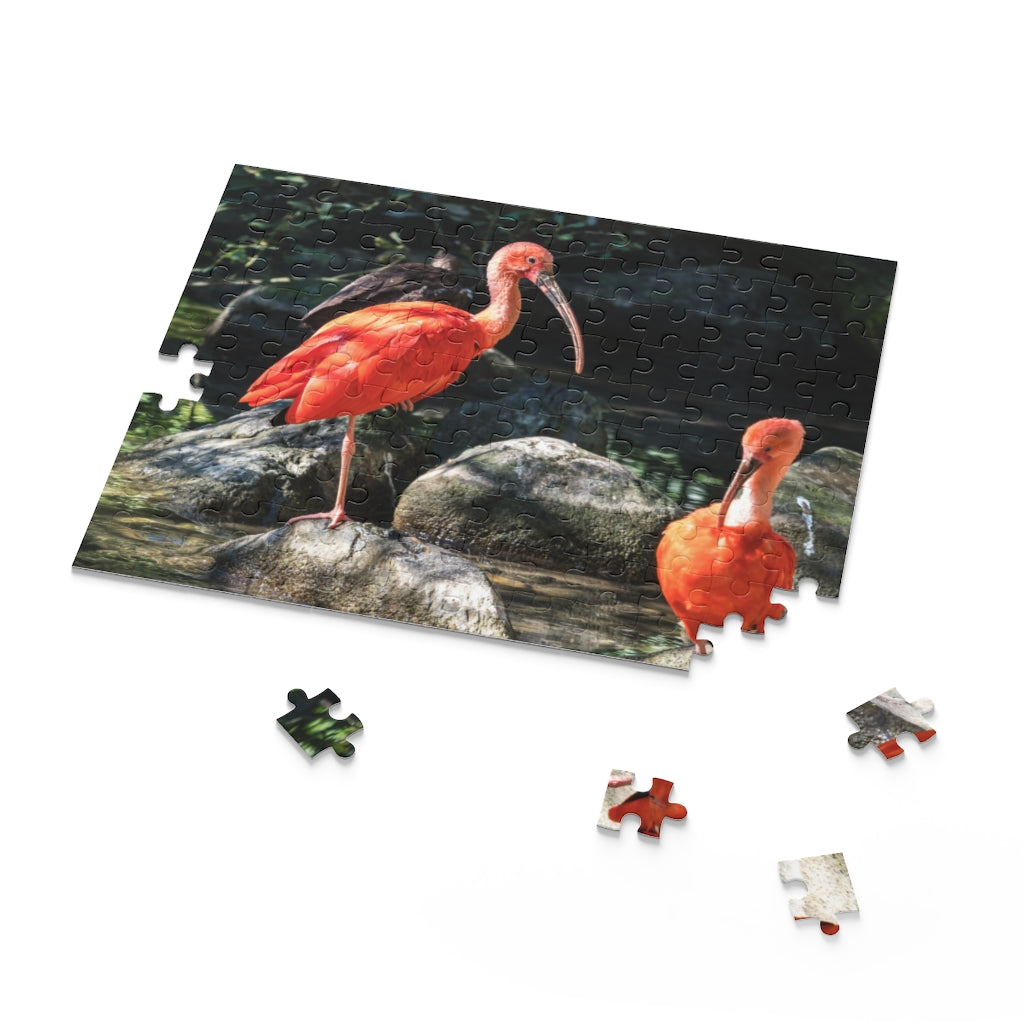 Scarlet Ibis, Guyana Wildlife Puzzle (120, 252, 500-Piece).