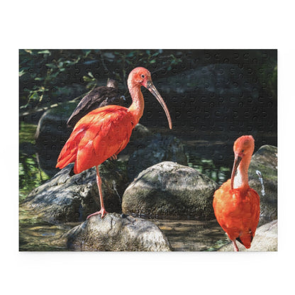 Scarlet Ibis, Guyana Wildlife Puzzle (120, 252, 500-Piece)