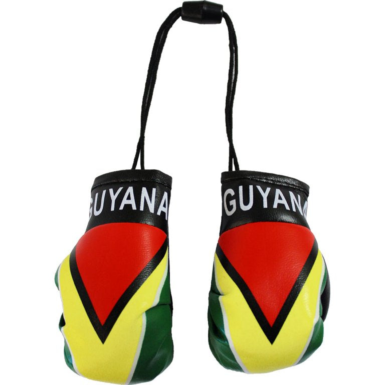 Guyanese Swag Guyana Mini Boxing Gloves