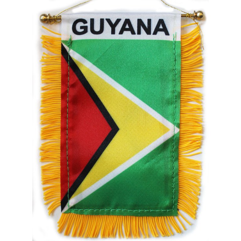 Guyanese Swag Mini Guyana Car Flag.