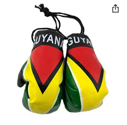 Guyanese Swag Guyana Mini Boxing Gloves.