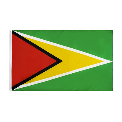 Guyanese Swag 3x5 Guyana Flag Indoor Outdoor